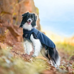 Bigfoot Dog Jacket Hund Moonlit Ocean