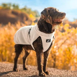 Bigfoot Dog Jacket Hund Peyote