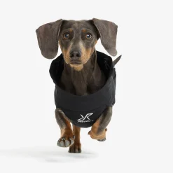 Cyclone Dog Jacket Hund Black