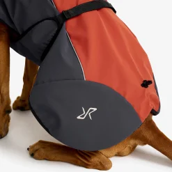 Cyclone Dog Jacket Hund Bossa Nova/India Ink