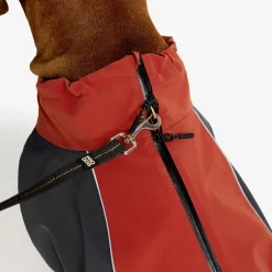 Cyclone Dog Jacket Hund Bossa Nova/India Ink
