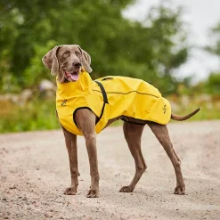 Cyclone Dog Jacket Hund Golden Yellow