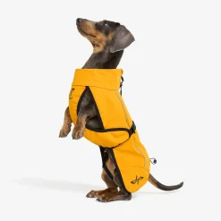 Cyclone Dog Jacket Hund Golden Yellow