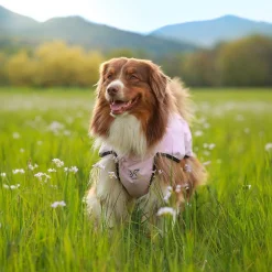 Cyclone Dog Jacket Hund Pink Mist