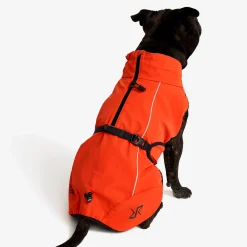 Cyclone Dog Jacket Hund Pureed Pumpkin