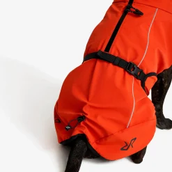 Cyclone Dog Jacket Hund Pureed Pumpkin