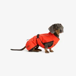 Cyclone Dog Jacket Hund Pureed Pumpkin