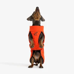 Cyclone Dog Jacket Hund Pureed Pumpkin