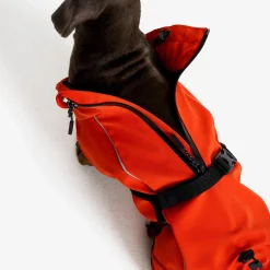 Cyclone Dog Jacket Hund Pureed Pumpkin