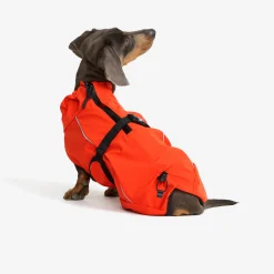 Cyclone Dog Jacket Hund Pureed Pumpkin