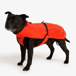 Cyclone Dog Jacket Hund Pureed Pumpkin