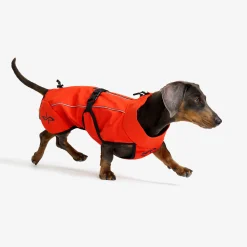 Cyclone Dog Jacket Hund Pureed Pumpkin