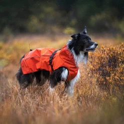 Cyclone Dog Jacket Hund Pureed Pumpkin