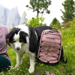 Explor Backpack 15L Blush