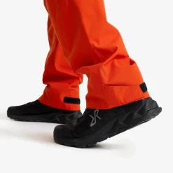 Vector 2L Pants Herren Autumn